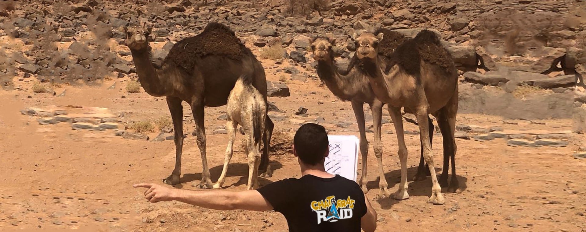 chatarras raid que es